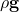  \rho \mathbf{g} 